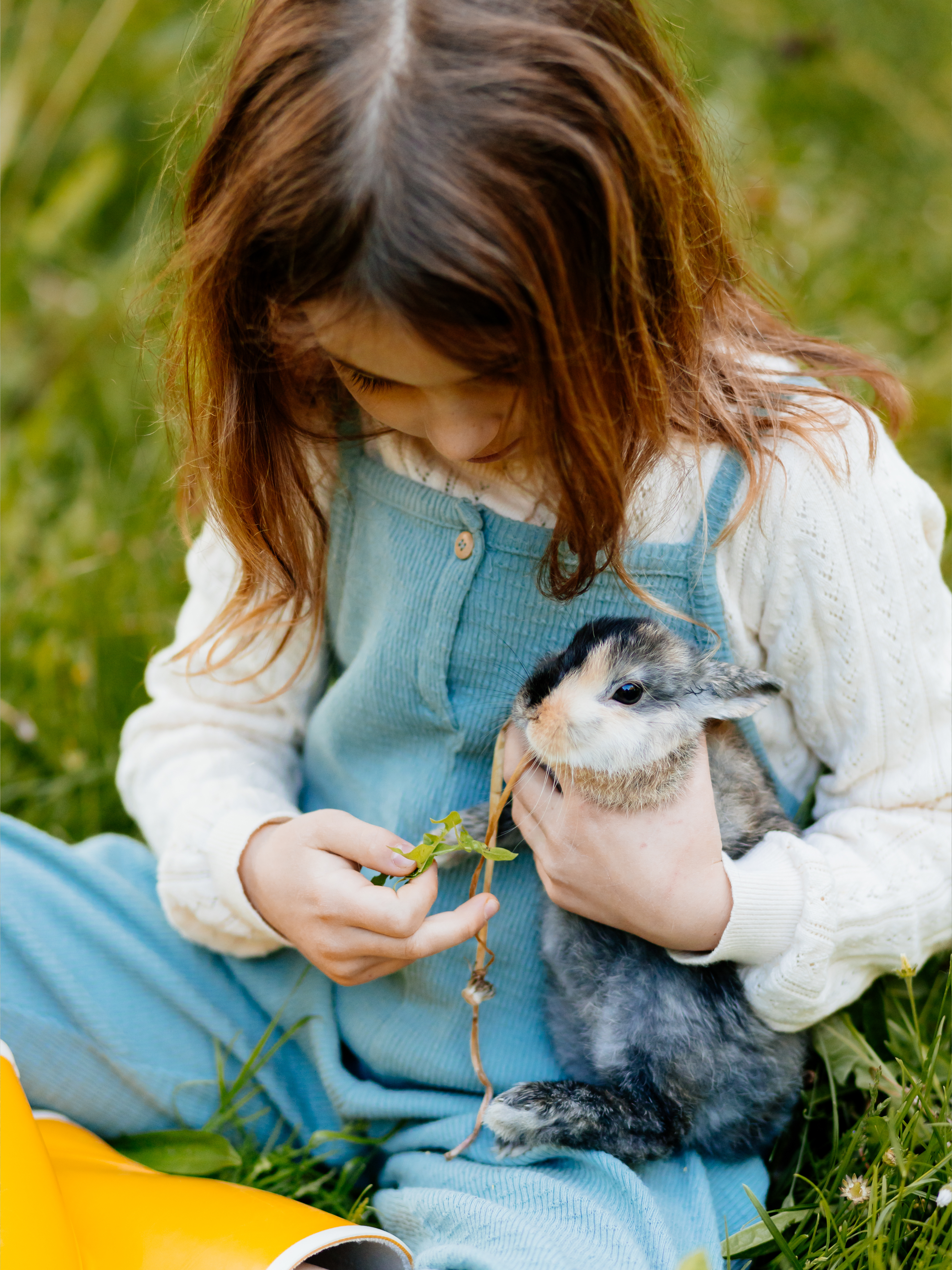 Children connecting with animals in nature